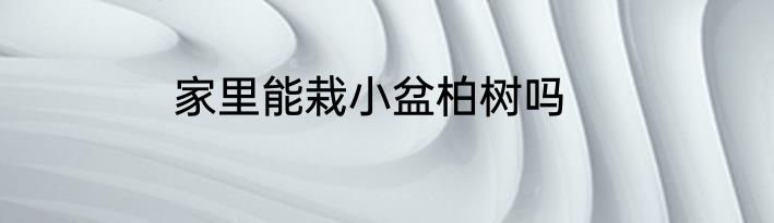 家里能栽小盆柏树吗