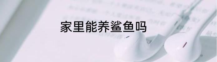 家里能养鲨鱼吗
