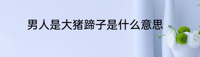 男人是大猪蹄子是什么意思