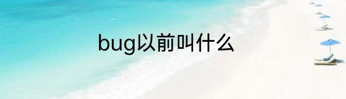 bug以前叫什么