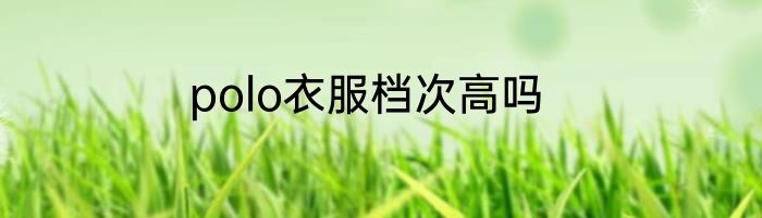 polo衣服档次高吗