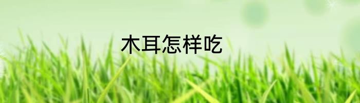 木耳怎样吃