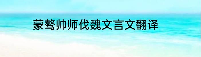 蒙骜帅师伐魏文言文翻译