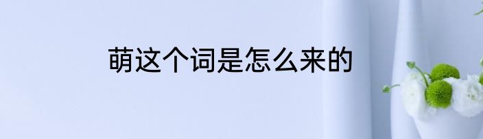 萌这个词是怎么来的