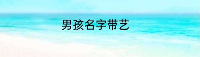 男孩名字带艺