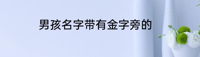 男孩名字带有金字旁的