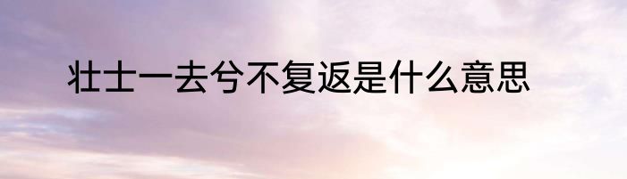 壮士一去兮不复返是什么意思