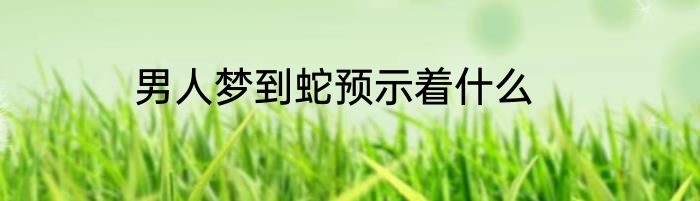 男人梦到蛇预示着什么