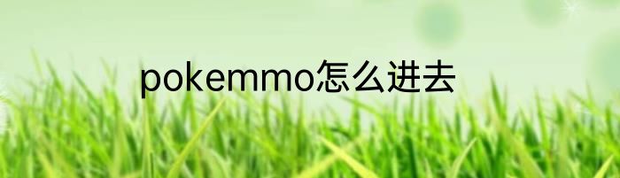 pokemmo怎么进去