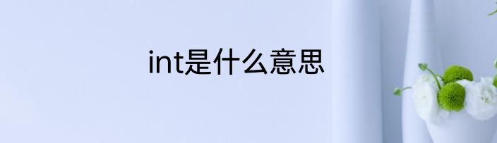 int是什么意思