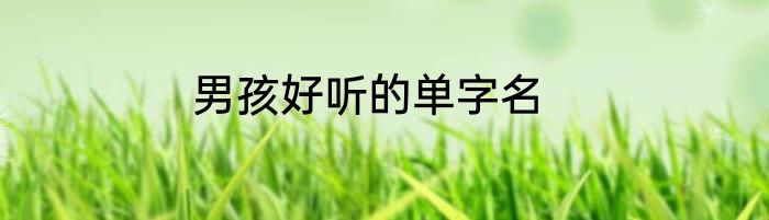 男孩好听的单字名