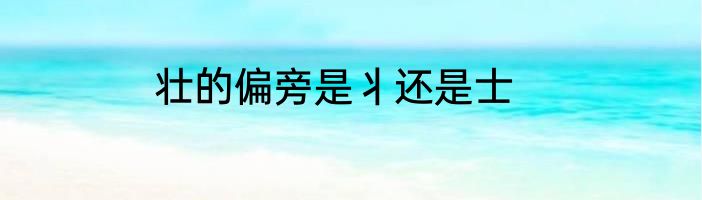 壮的偏旁是丬还是士