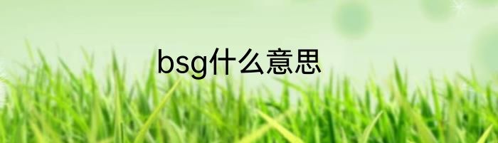 bsg什么意思