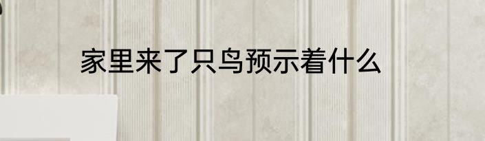 家里来了只鸟预示着什么