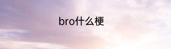 bro什么梗