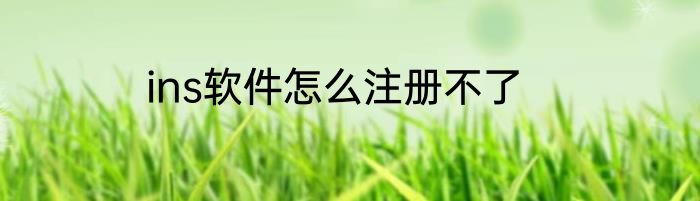 ins软件怎么注册不了