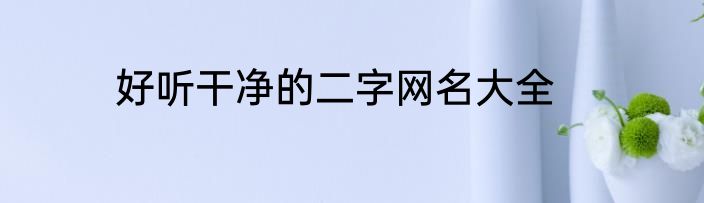 好听干净的二字网名大全