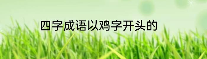 四字成语以鸡字开头的