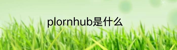 plornhub是什么
