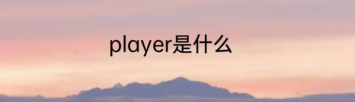 player是什么