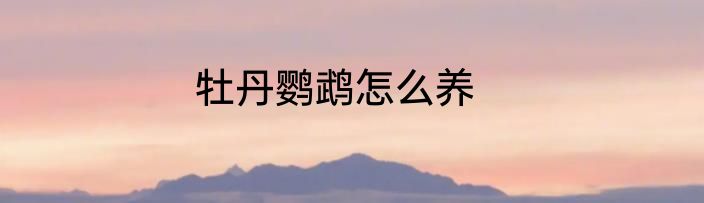 牡丹鹦鹉怎么养
