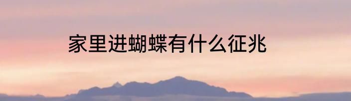 家里进蝴蝶有什么征兆