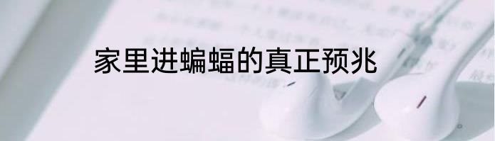 家里进蝙蝠的真正预兆