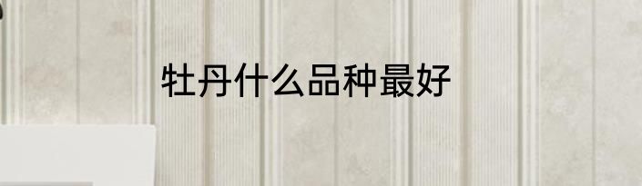 牡丹什么品种最好