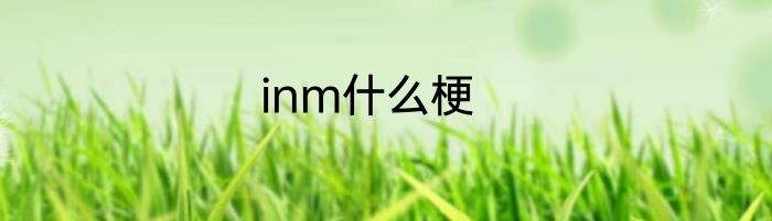 inm什么梗