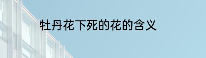 牡丹花下死的花的含义