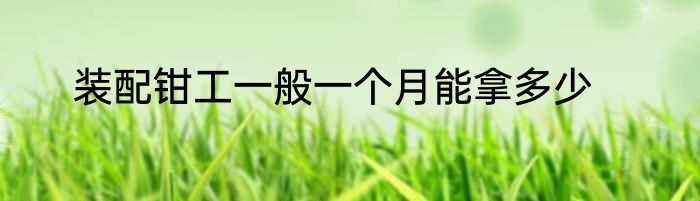 装配钳工一般一个月能拿多少