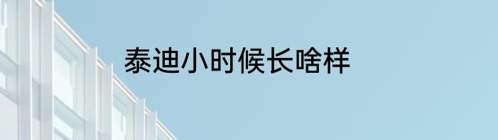 泰迪小时候长啥样