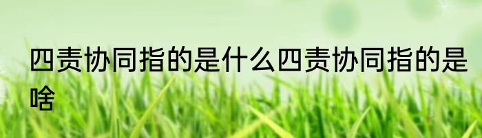 四责协同指的是什么四责协同指的是啥