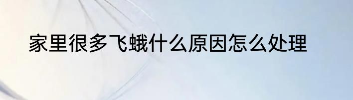 家里很多飞蛾什么原因怎么处理