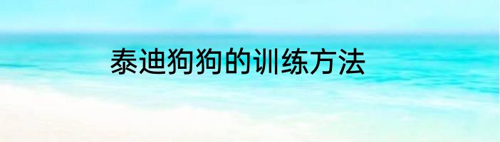 泰迪狗狗的训练方法