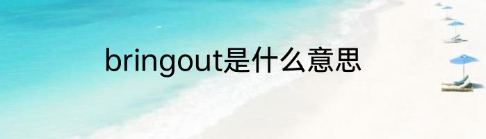 bringout是什么意思