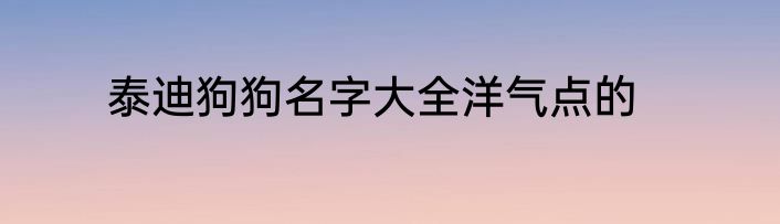 泰迪狗狗名字大全洋气点的