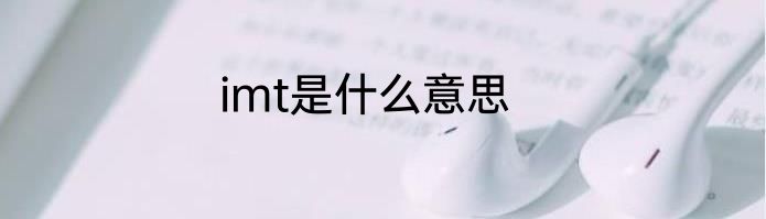 imt是什么意思