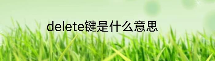 delete键是什么意思