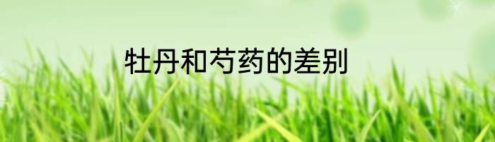 牡丹和芍药的差别
