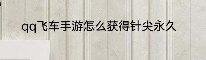 qq飞车手游怎么获得针尖永久