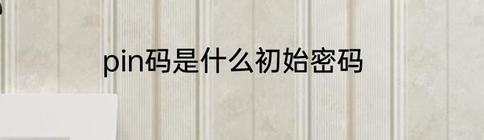 pin码是什么初始密码
