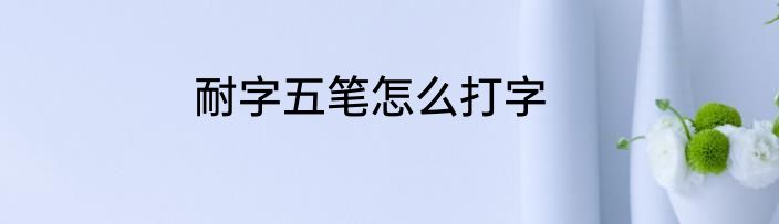 耐字五笔怎么打字