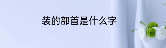 装的部首是什么字