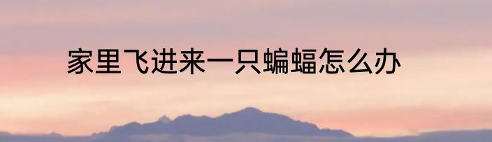 家里飞进来一只蝙蝠怎么办