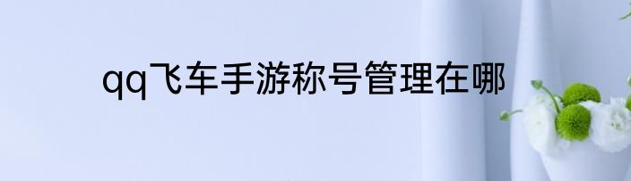 qq飞车手游称号管理在哪