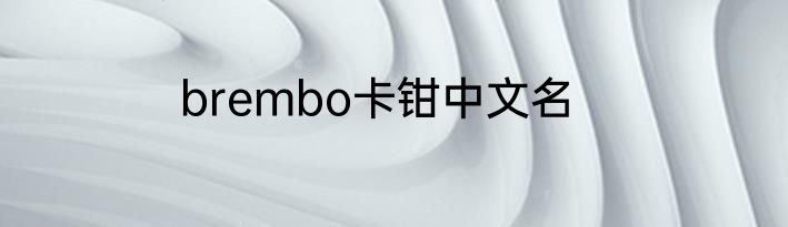 brembo卡钳中文名