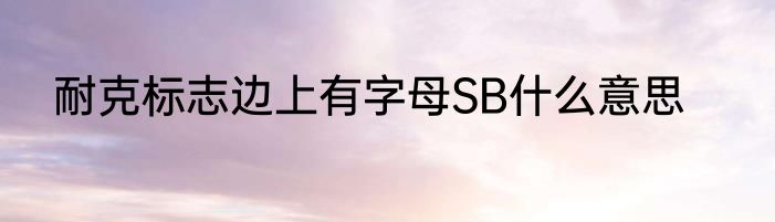 耐克标志边上有字母SB什么意思