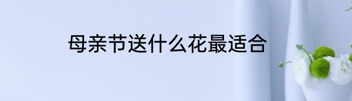 母亲节送什么花最适合