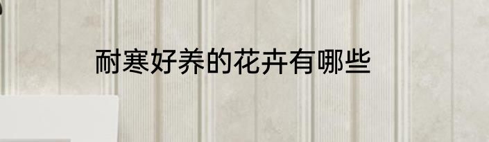 耐寒好养的花卉有哪些